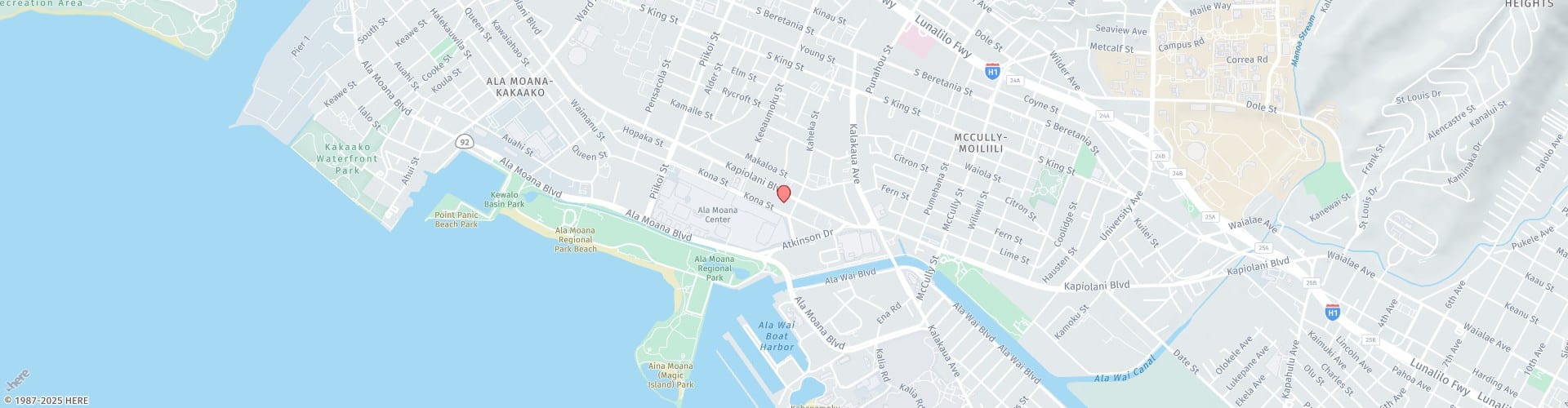 Hawaii Vein Institute: W.Y. Chung, MD, RPhs, DABVLM